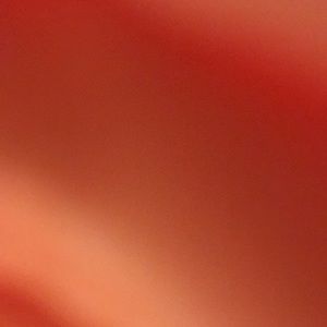 Meet your Posher, Layla